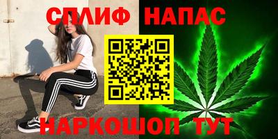 ECSTASY Канаш