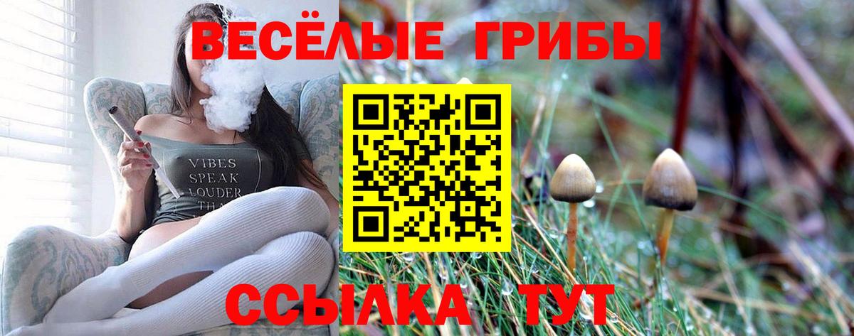 Псилоцибиновые грибы GOLDEN TEACHER  Псилоцибиновые грибы мухоморы  Вход с VPN  Валуйки 