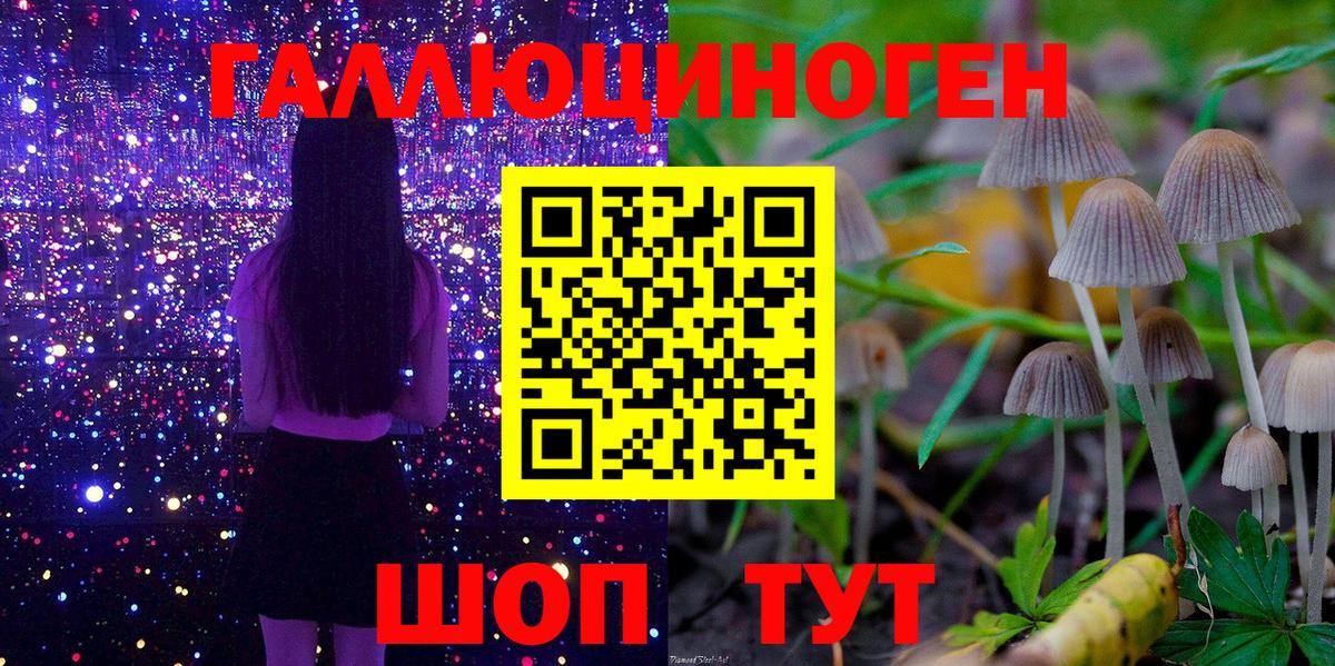 Галлюциногенные грибы GOLDEN TEACHER Валуйки